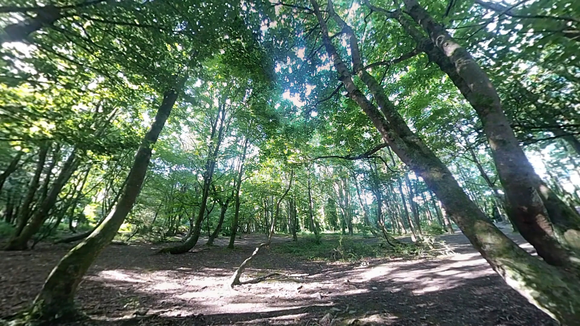Green space